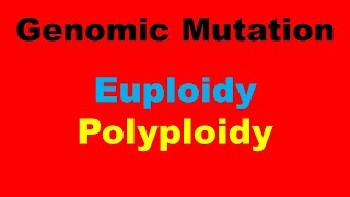 Euploidy l Polyploidy l Genomic Mutations [upl. by Llenahs]