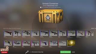 Opening CSGO Case Every Day until Red or Gold Skins  Day 7 [upl. by Yecaj]