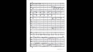 Jean Sibelius  Symphony n 1 in E minor with score [upl. by Germaine]