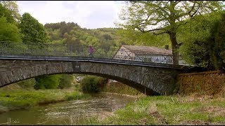 Natürlich im Gelbachtal  Expedition in die Heimat  Doku  SWR Fernsehen [upl. by Hound]