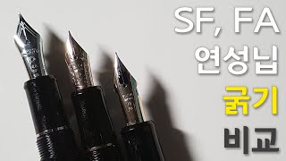 플래티넘 센츄리 sf 파이롯트 커스텀74 sf amp 커스텀743 fa 비교 리뷰reviewcomparing [upl. by Oneladgam]