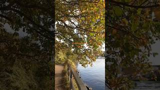 A waterside walk 🇩🇪 with fall scenery northerngermany [upl. by Turtle]