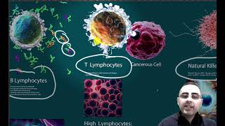 Lymphocytes  lymphocytes high in blood test Lymphocytes low [upl. by Ibbison166]