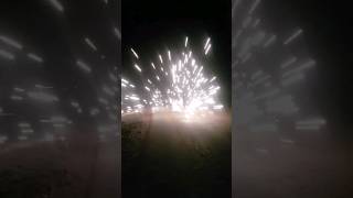 Funke Vogelschreck P1 pyro feuerwerk silvester funke [upl. by Cuthbert]