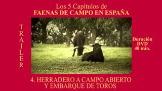 Faenas de Campo en España 5 DVD [upl. by Suivatnad30]