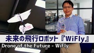 未来の飛行ロボット Drone of the Future『WiFly』 InnoUvators Interview [upl. by Schnapp675]