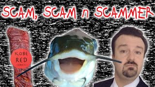 The Forgotten amp Failed Scams of the Innocent Internet [upl. by Napra]