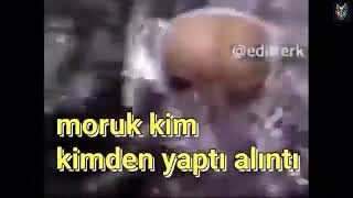 ALİEN MEME for 10 Hours  Patlamaya Devam  Инопланетянен песня harmanim baba nerde çarşafim [upl. by Mortensen]