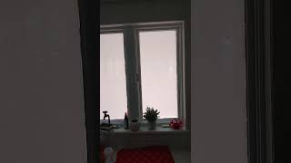 Smart Glass Windows Operated By Voice Command shorts [upl. by Sulokcin]