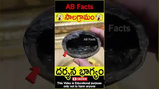 🙏సాలగ్రామం🙏 Mahavishnu roopam in shaligram telugufacts vishnupuran shorts youtubeshorts abfacts [upl. by Ahsiaa]