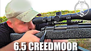 Bergara B14 Ridge 65 Creedmoor [upl. by Eynobe201]