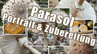 Parasol zubereiten  Verwechslung amp Portrait  Gemeiner Riesenschirmling Macrolepiota procera [upl. by Airal]