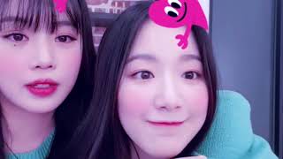 GIDLE Shuhua and Soojin Languages classft google translate  Filters 여자아이들 [upl. by Nylarej]