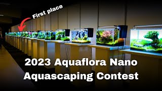 26 AMAZING NANO AQUASCAPES 2023 Aquaflora Nano Aquascaping Contest [upl. by Wobniar635]