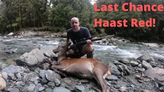 Red Deer Hunt Haast New Zealand [upl. by Adym]