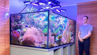 GERMAN REEF TANKS  quotNature Reefquot  3000 liter  790 gallon coral aquascape  saltwater aquarium [upl. by Hildie]