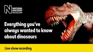 Everything Youve Always Wanted to Know About Dinosaurs  Live talk with NHM scientist [upl. by Tally27]