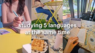 STUDY VLOG a productive language learning diaries🧋 [upl. by Tezzil]