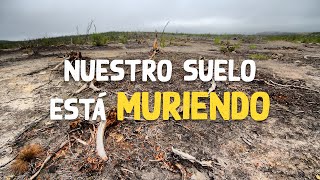 ¿Que es la perdida del suelo y desertificación ☠🌿😯 [upl. by Massie]