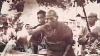 Webu Sayadaw Anthology of a Noble One [upl. by Hector]