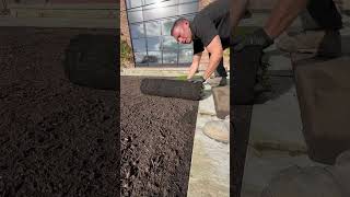 Turfing tips landscaping turf turfing grass garden gardenideas [upl. by Beitnes864]