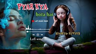 Pyar Kya hota hai  New Track 2024  Lofi music book in hindi  slowed [upl. by Nowed237]