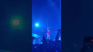 Billie Eilish  Lollapalooza Argentina Live Concert 2023 [upl. by Ballinger796]