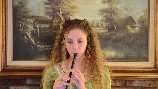 Susato Tin Whistle Demo  Whelans Jig [upl. by Naji145]