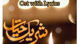 Shareek E Hayat OST  Sahir Ali Bagga [upl. by Narak]