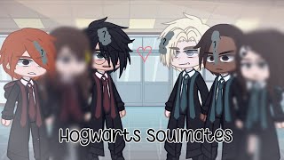 ✨ Hogwarts Soulmates GCMM ✨ Part 1 ✨ Drarry amp Blarion ✨ Gacha Club ✨Toxic Pansy ✨ [upl. by Adnohsad]