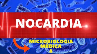 NOCARDIA  MICROBIOLOGIA MÉDICA  AULA 8 [upl. by Anertac493]