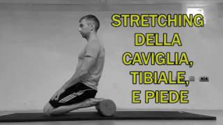 Stretching Parte 1 Caviglia Tibiale e Piede [upl. by Jamnes]