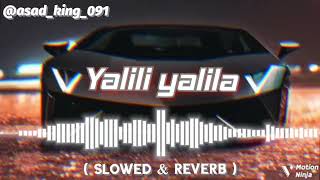 Yalili yalila 🔥  Slowed amp Reverb   AFTEREVENING trending song dj reverb lofi [upl. by Duquette]