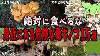 絶対に食べてはいけない危険な毒キノコ１５選【ずんだもん解説】 [upl. by Lieno]