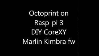 Octoprint on Raspberry pi 3  Core XY 3d printer [upl. by Naujid]