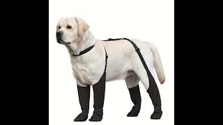 Waterproof Dog Boots with Secure Strap  AllSeason Warmth for Small to Large Breeds Machine Was [upl. by Welcher]