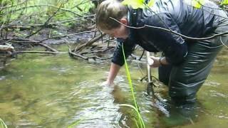 Technique de prélèvement deau en rivière [upl. by Anaujit]