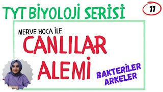 CANLILAR ALEMİ BAKTERİLERARKELER TYT BİYOLOJİ yks tyt [upl. by Attekahs961]