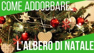 COME ADDOBBARE L ALBERO DI NATALE  5 TRUCCHI FONDAMENTALI  ORTO E GIARDINAGGIO [upl. by Anairo]