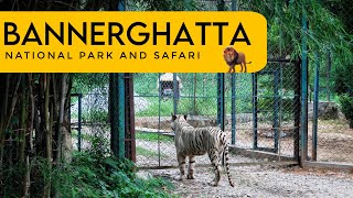 BANNERGHATTA NATIONAL PARK SAFARI  PLACES TO VISIT IN BANGALORE [upl. by Ynattir]