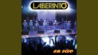 El Perron Merino En Vivo [upl. by Lenno]