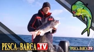 Come imparare a pescare i dentici Dentex dentex  parte 2 di 3  Pesca dalla Barca TV [upl. by Enej54]