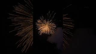 AMAZING FIREWORKS IN DIWALI 🎇🪔trending viralvideo fireworks [upl. by Samp772]