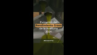 Evolución del Rendimiento Graso de la Aceituna 2024 [upl. by Malin]