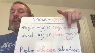 Latin 1  Chapter 2  Grammar Singular and Plural [upl. by Lehsar640]