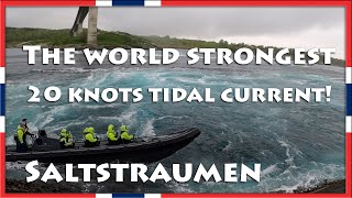 World Strongest Tidal Current runs up to 20 knots  Saltstraumen in Norway  Sail Mermaid S4 E07 [upl. by Otirecul142]