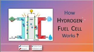 How hydrogen fuel cell works  Fuel Cell Technology  Working principle [upl. by Zealand]