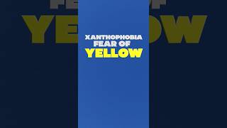 Xanthophobia  Fear of the Color Yellow  Strange Phobias [upl. by Llertnov]