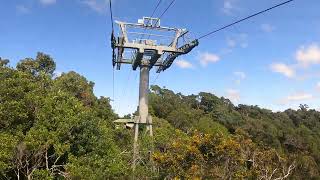 Skyrail Rainforest Cableway  Cairns [upl. by Valentina]