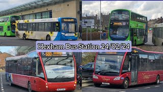 Buses at Hexham Bus Station  240224 [upl. by Sheelah272]